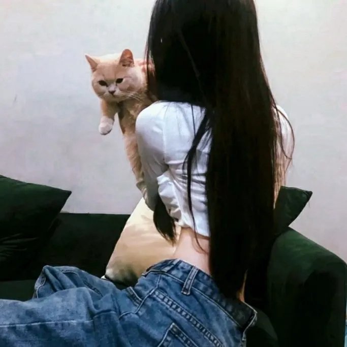 挎斗摩托车里的狗